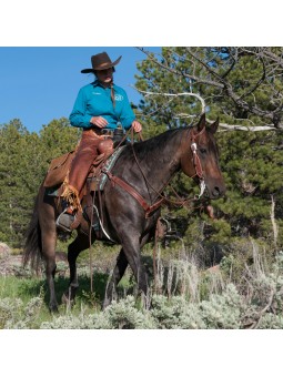 Cowboy with Weaver Native Tooled Tack Collection 10-0431, 40-1017