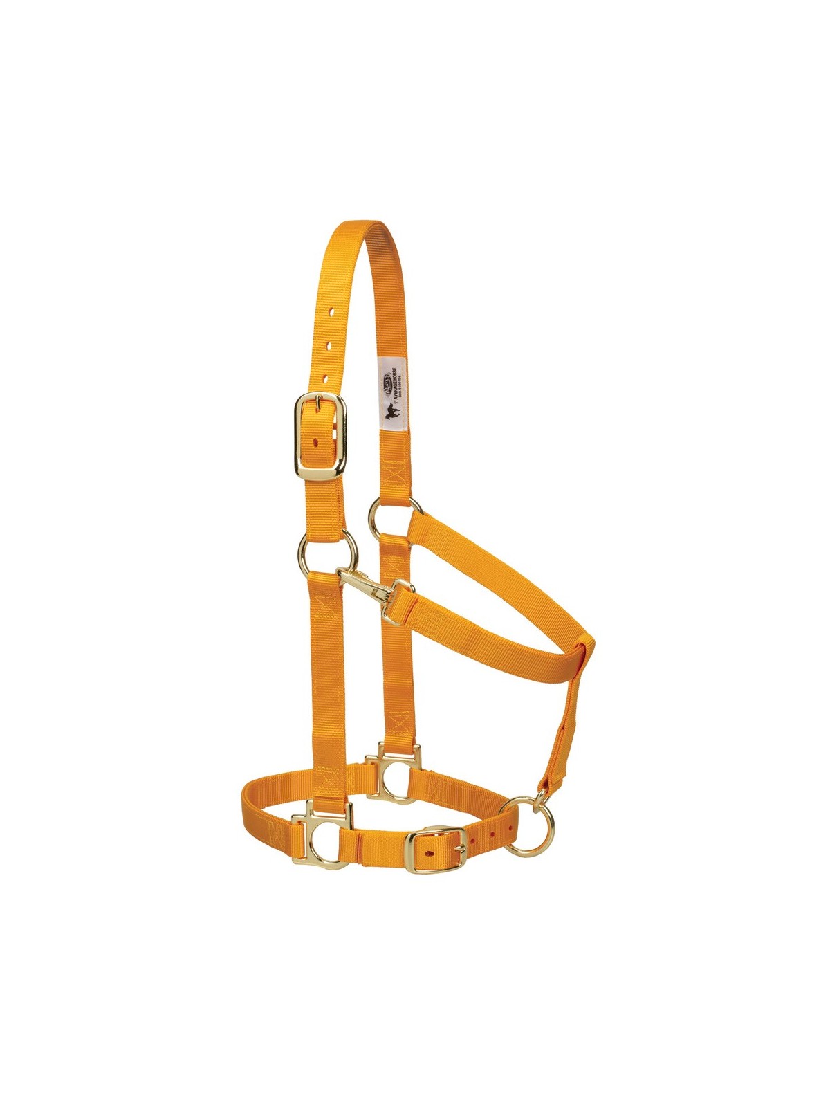 Basic Halter adjustable mustard